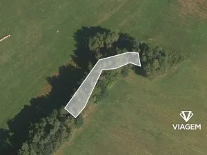 Prodej lesa, Jablonné v Podještědí, 1732 m2