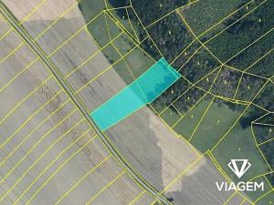 Prodej podílu pole, Střemošice, 1822 m2