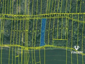 Prodej lesa, Hradiště, 2874 m2