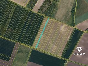 Prodej podílu lesa, Hustopeče, 2173 m2