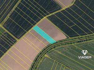 Prodej podílu pole, Věžky, 1032 m2