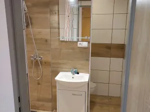 Pronájem bytu 2+1, Kopřivnice, 17. listopadu, 46 m2