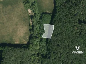 Prodej podílu lesa, Žlutava, 2234 m2