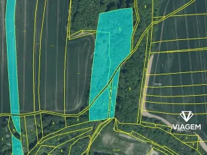 Prodej podílu pole, Úvalno, 4615 m2