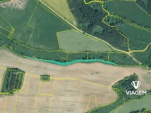 Prodej lesa, Svojšín, 2777 m2