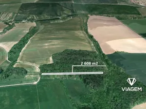 Prodej podílu lesa, Ostrožská Lhota, 978 m2