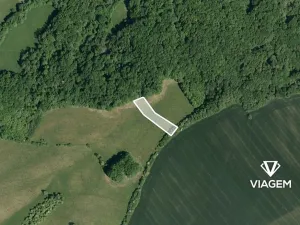 Prodej pole, Kelníky, 2179 m2