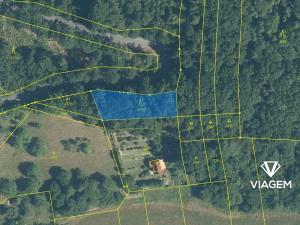 Prodej lesa, Milenov, 820 m2