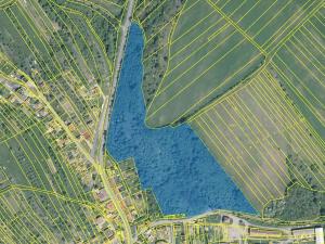 Prodej podílu zahrady, Pašovice, 11619 m2