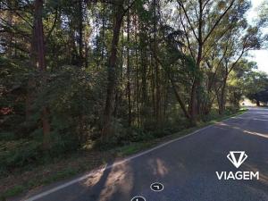 Prodej podílu lesa, Plasy, 478 m2