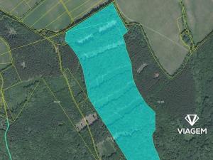 Prodej podílu lesa, Bánov, 76909 m2