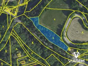 Prodej lesa, Ondřejov, 2009 m2