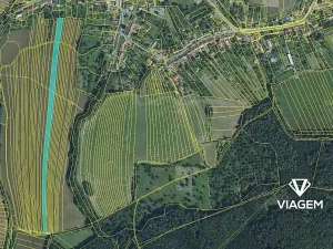 Prodej podílu pole, Cetechovice, 4266 m2