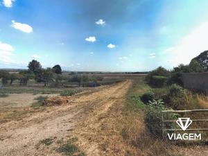 Prodej podílu pole, Dětenice, 377 m2