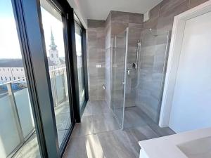 Pronájem bytu 3+kk, Brno, Vídeňská, 128 m2