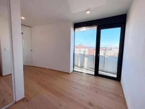 Pronájem bytu 3+kk, Brno, Vídeňská, 128 m2