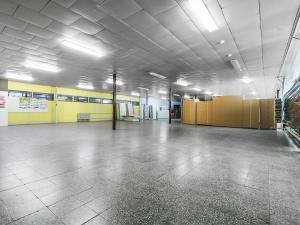 Prodej obchodního prostoru, Kolín, Sladkovského, 1465 m2