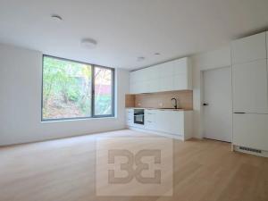 Pronájem bytu 2+kk, Praha - Libeň, Na Okrouhlíku, 52 m2