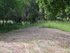 Prodej pozemku pro bydlení, José Santos Guardiola, Honduras, 620 m2