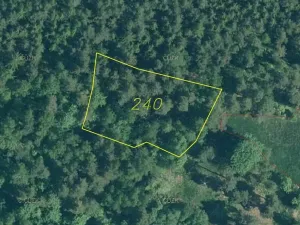 Dražba louky, Rejštejn, 1798 m2