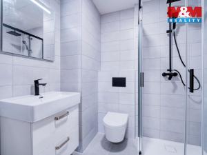 Pronájem bytu 2+kk, Plzeň, Pecháčkova, 49 m2