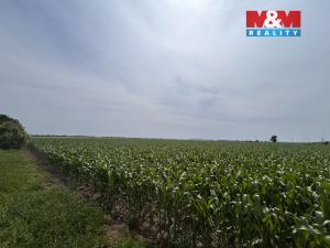 Prodej pole, Prostějov - Žešov, 8491 m2