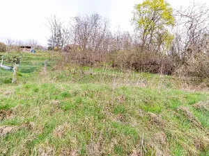 Prodej rodinného domu, Mladá Boleslav, Josefodolská, 126 m2