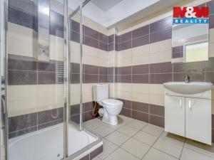 Pronájem bytu 1+kk, Sytno, 31 m2