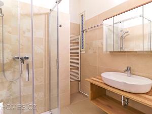 Pronájem bytu 2+1, Praha - Nusle, Petra Rezka, 68 m2