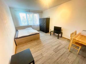 Pronájem bytu 1+kk, České Budějovice - České Budějovice 2, K. Chocholy, 30 m2