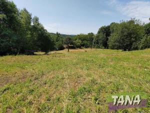 Prodej pozemku pro bydlení, Koberovy, 9985 m2