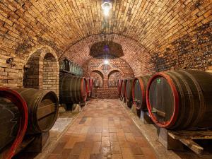 Prodej komerční, Velké Bílovice, 508 m2