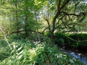 Prodej pozemku pro bydlení, Choustník, 114846 m2