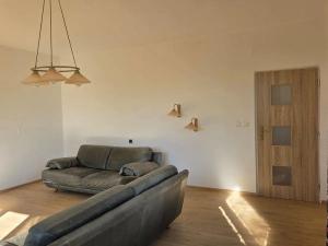 Pronájem rodinného domu, Borovany, U Dubu, 115 m2