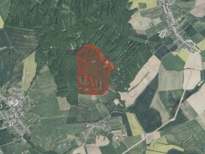 Prodej podílu lesa, Zdounky, 3240 m2