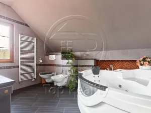 Prodej rodinného domu, Ostrov, 210 m2