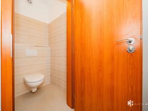 Pronájem výrobních prostor, Zlonín, Hlavní, 50 m2