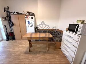 Pronájem bytu 1+1, Brno - Staré Brno, Nové sady, 48 m2