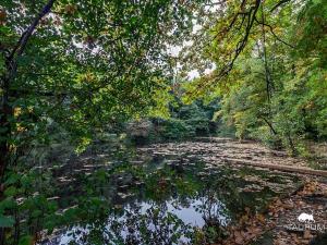 Prodej chaty, Velký Chlumec, 35 m2