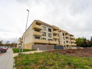 Pronájem bytu 1+kk, Olomouc, Frištenského, 32 m2