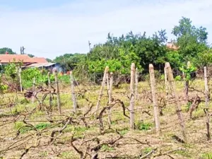 Prodej rodinného domu, Mogilishte, Bulharsko, 170 m2