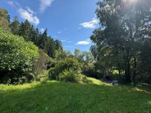 Prodej rodinného domu, Bujanov, 480 m2