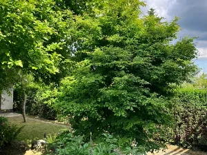 Prodej rodinného domu, Praha - Břevnov, Haberfeldova, 189 m2