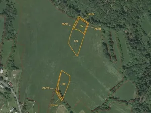 Dražba pole, Strašín, 33898 m2