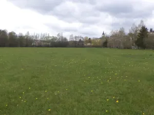 Dražba louky, Tachov, 23048 m2