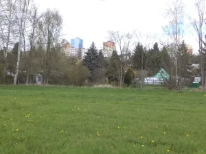 Dražba louky, Tachov, 23048 m2