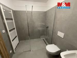 Pronájem kanceláře, Ostrava - Vítkovice, Lidická, 57 m2