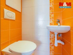 Prodej bytu 3+1, České Budějovice - České Budějovice 3, Plzeňská, 66 m2