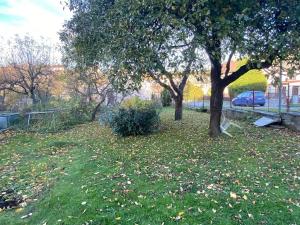 Pronájem rodinného domu, Mrákotín, 232 m2