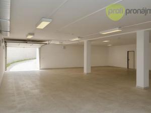 Pronájem skladu, Vyškov, Palánek, 280 m2